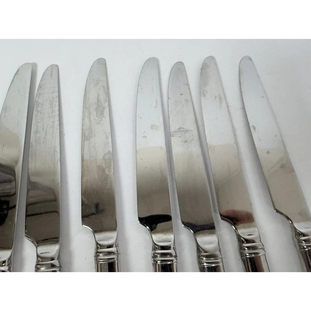 Reed & Barton Perspective Stainless Dinner Knives Lot Of 11 Replacements